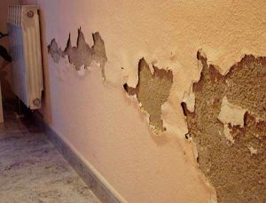 El uso del deshumidificador para evitar el deterioro en la vivienda