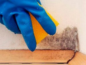 Recomendaciones para el cuidado de los muebles de madera