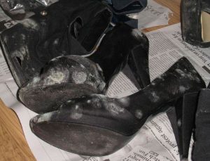 QUITAR LA HUMEDAD DE LOS ZAPATOS