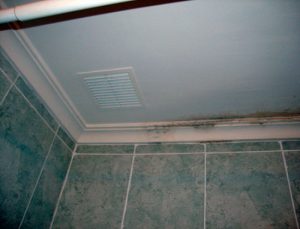 Las consecuencias de la condensación intersticial en nuestra casa