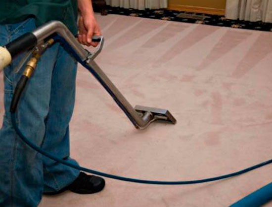 La importancia de remover la humedad de nuestras alfombras