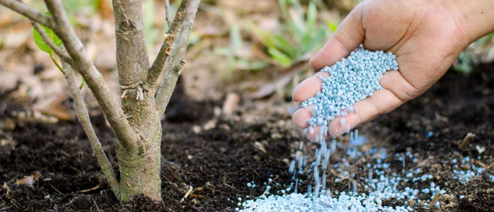 La humedad excesiva comprime e inutiliza los fertilizantes usados en la industria química y agropecuaria