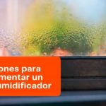 Video - 5 Razones para implementar un Deshumidificador