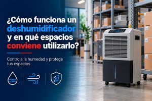 ¿Cómo funciona un deshumidificador y en qué espacios conviene utilizarlo?
